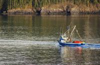 Fishing Boat�